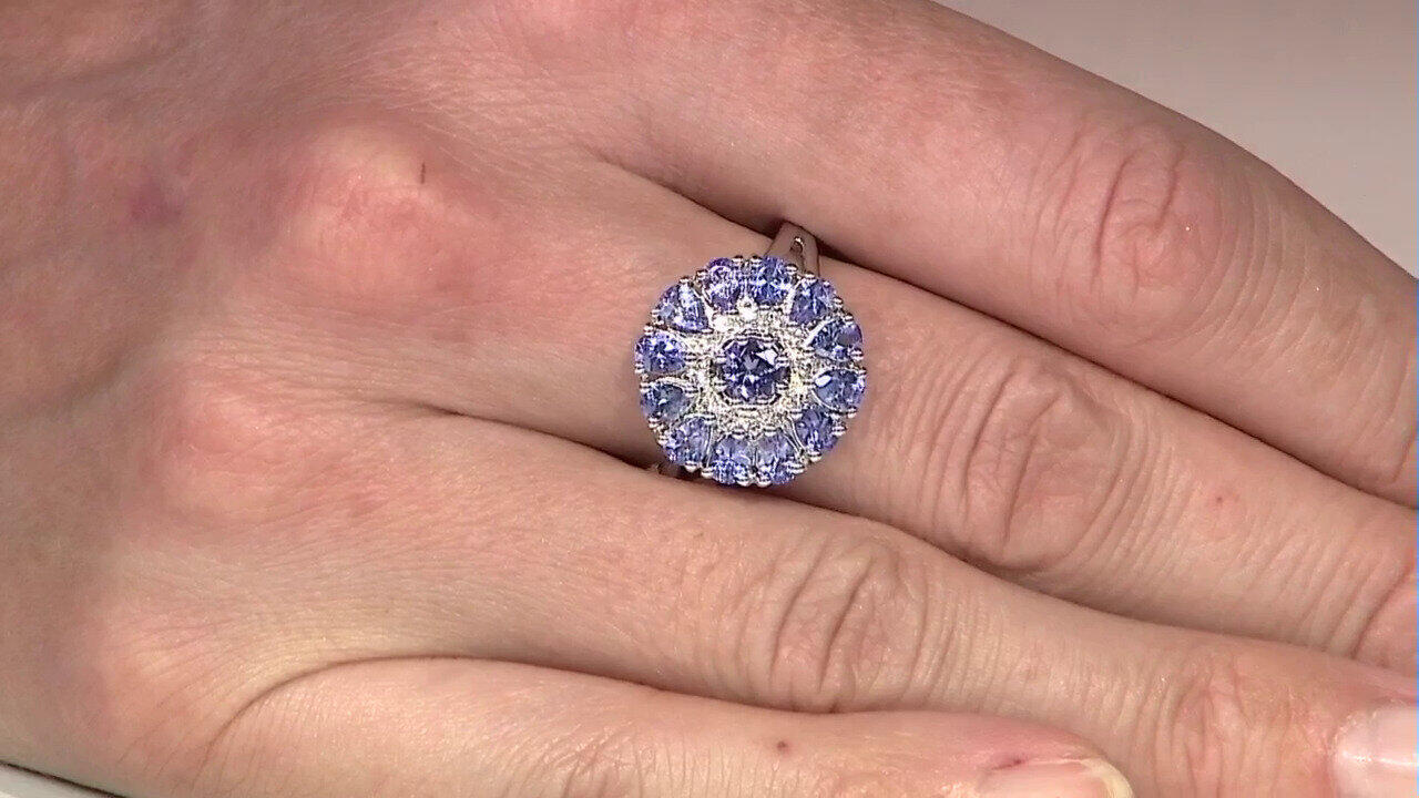 Letzte TV-Show ansehen