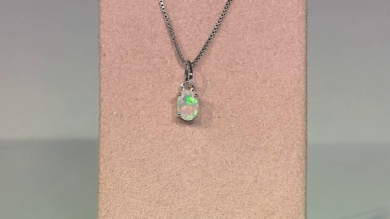 Letzte TV-Show ansehen