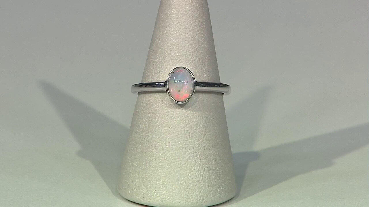 Letzte TV-Show ansehen