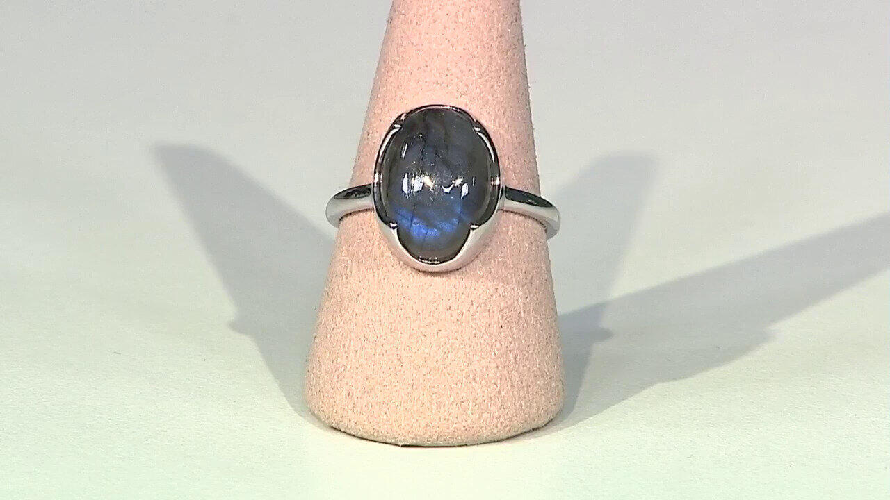 Letzte TV-Show ansehen