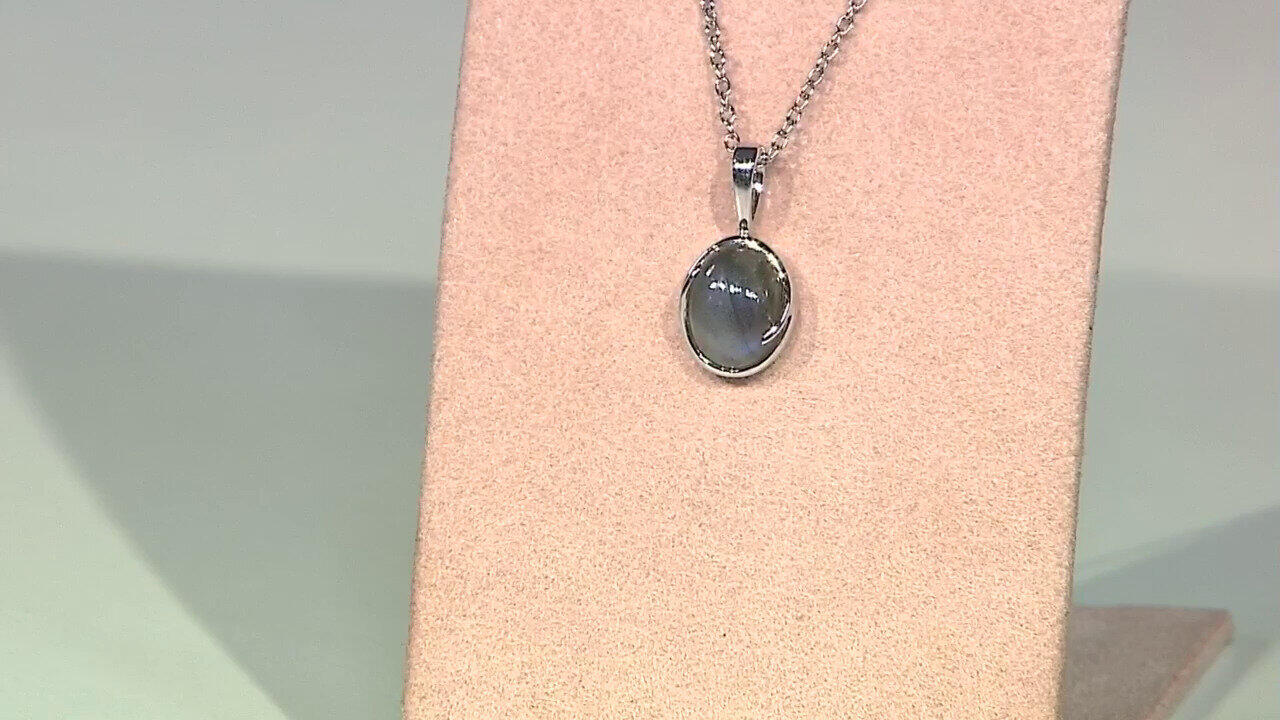 Letzte TV-Show ansehen