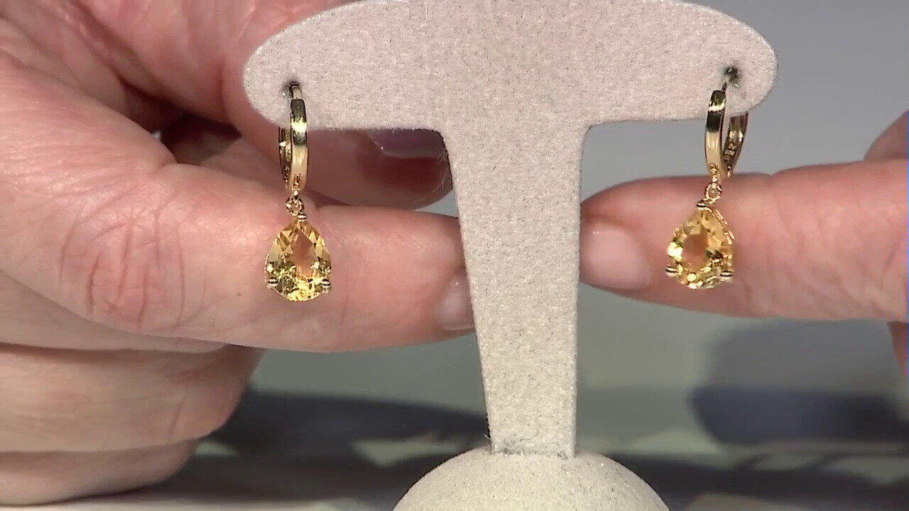 Letzte TV-Show ansehen