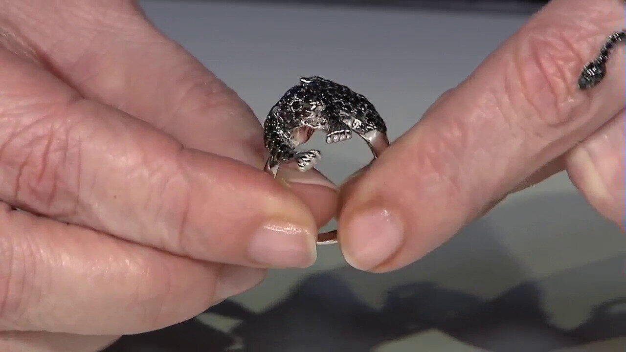 Letzte TV-Show ansehen