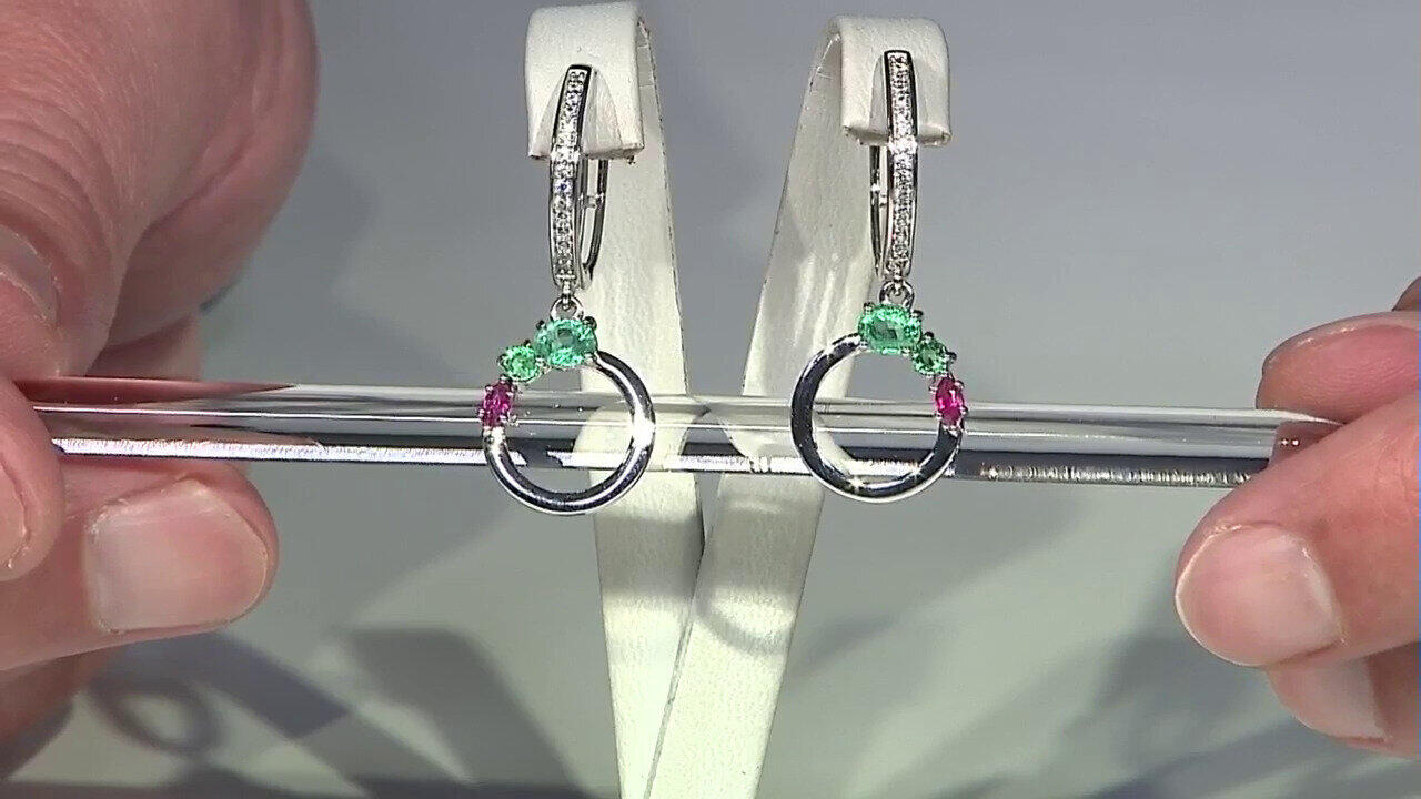 Letzte TV-Show ansehen