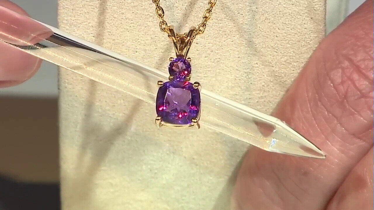 Letzte TV-Show ansehen