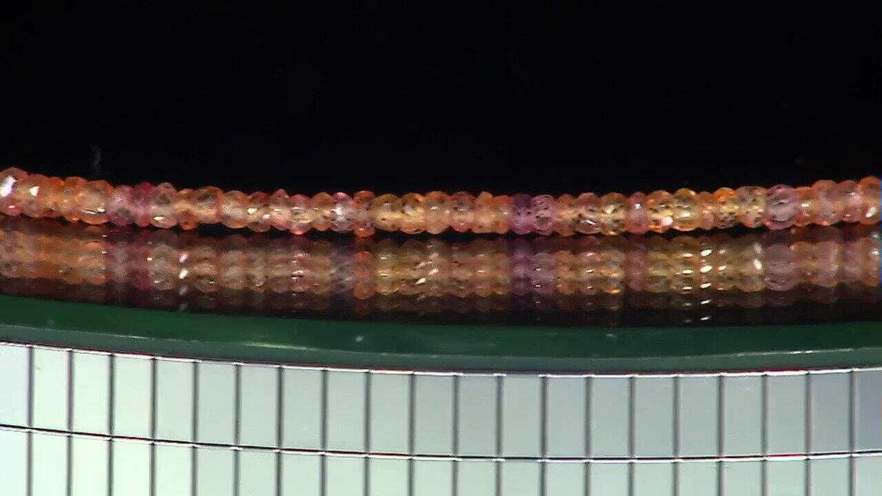 Laatste live aanbiedingen bekijken