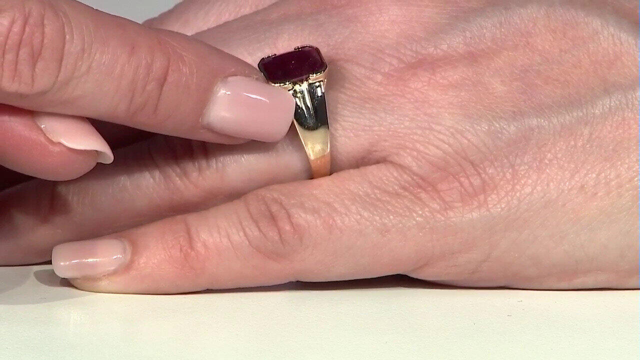 Letzte TV-Show ansehen