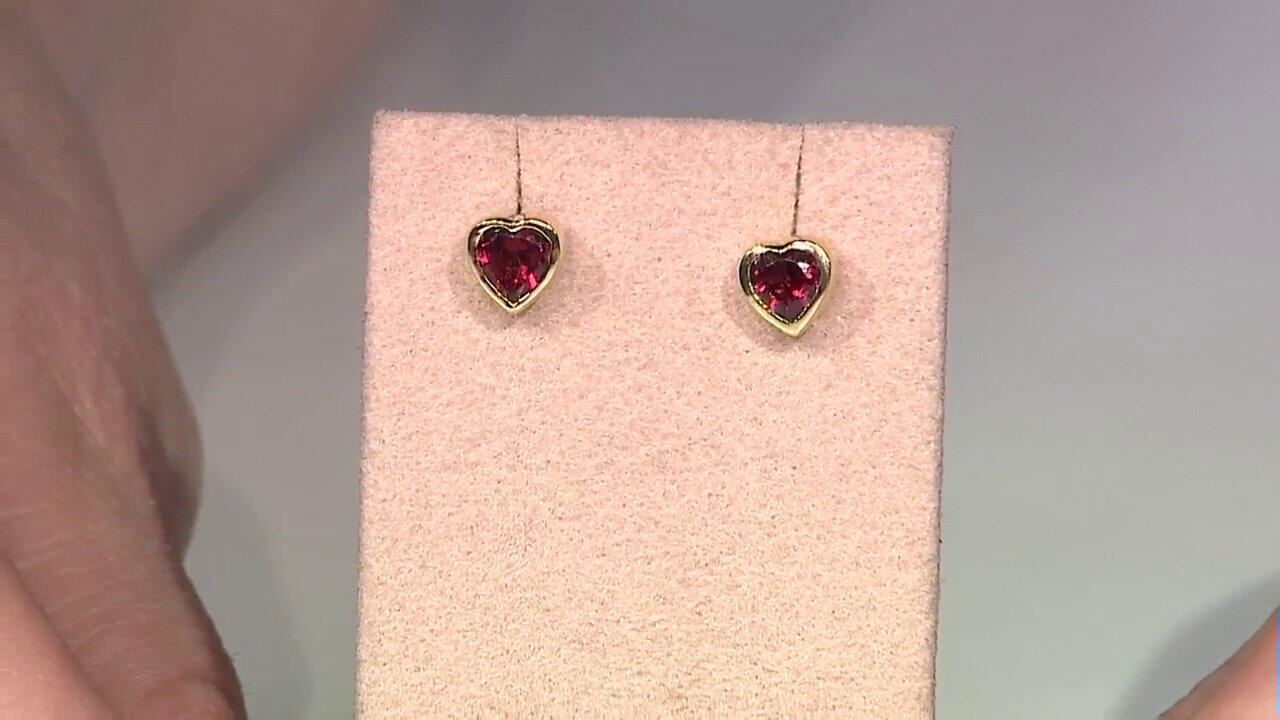 Letzte TV-Show ansehen