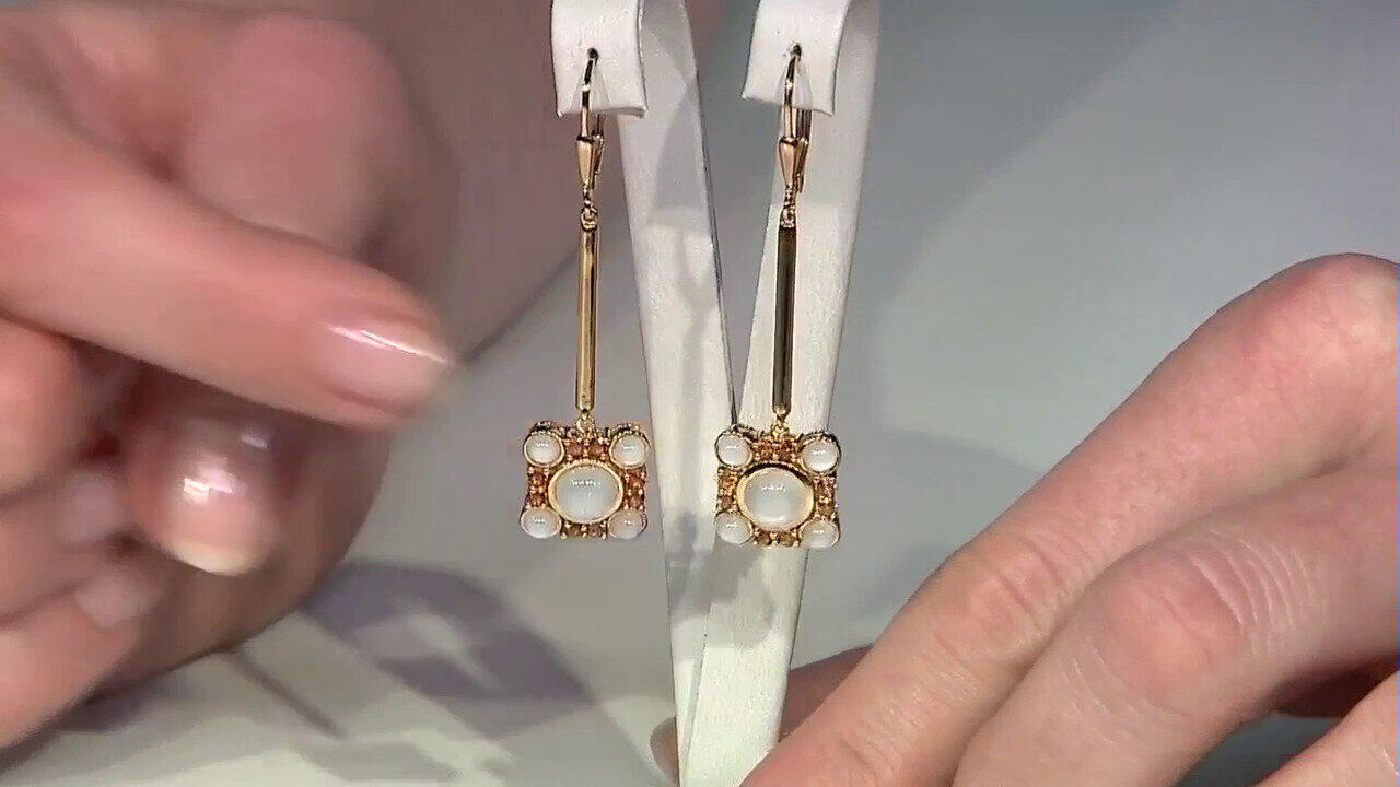 Letzte TV-Show ansehen