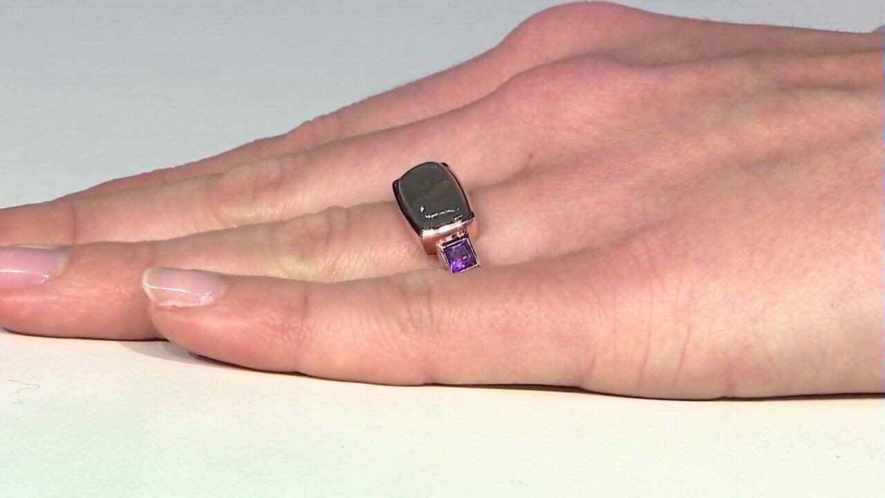 Letzte TV-Show ansehen