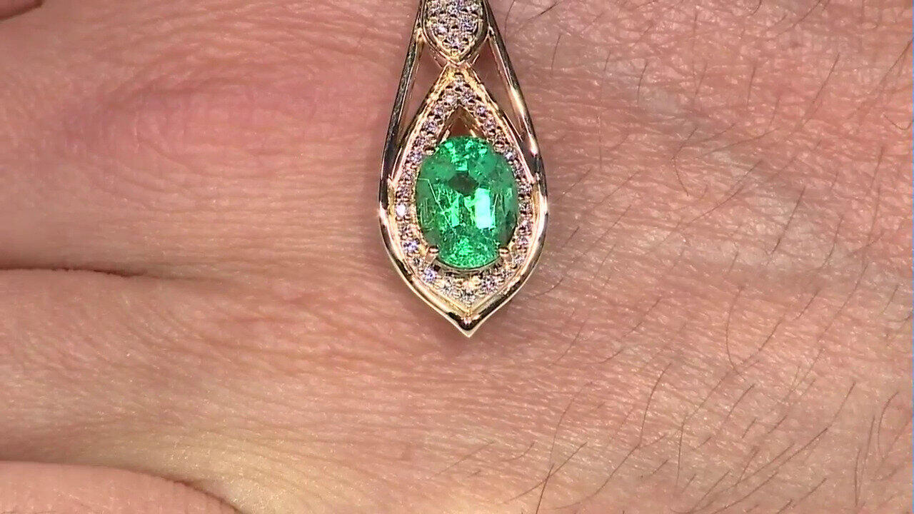 Letzte TV-Show ansehen