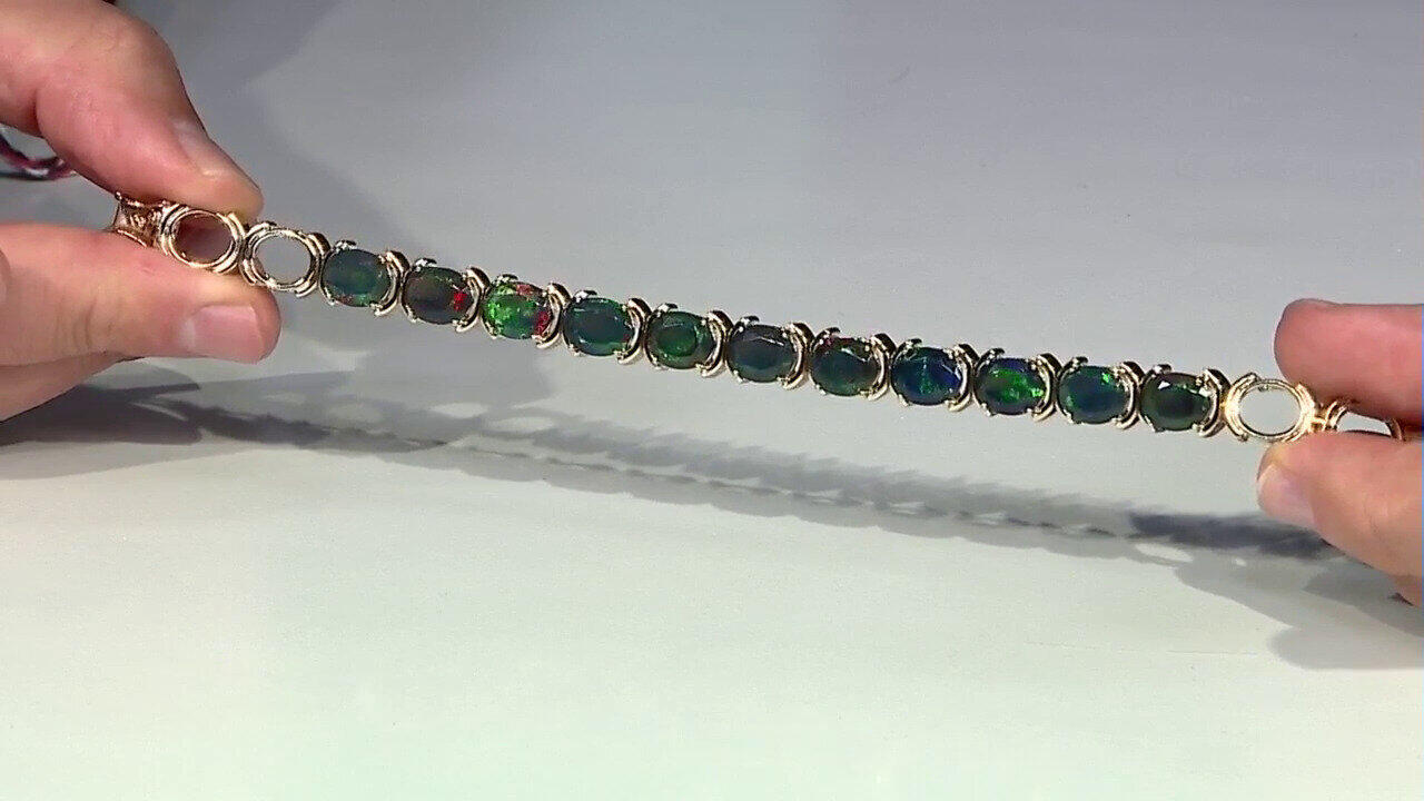 Laatste live aanbiedingen bekijken