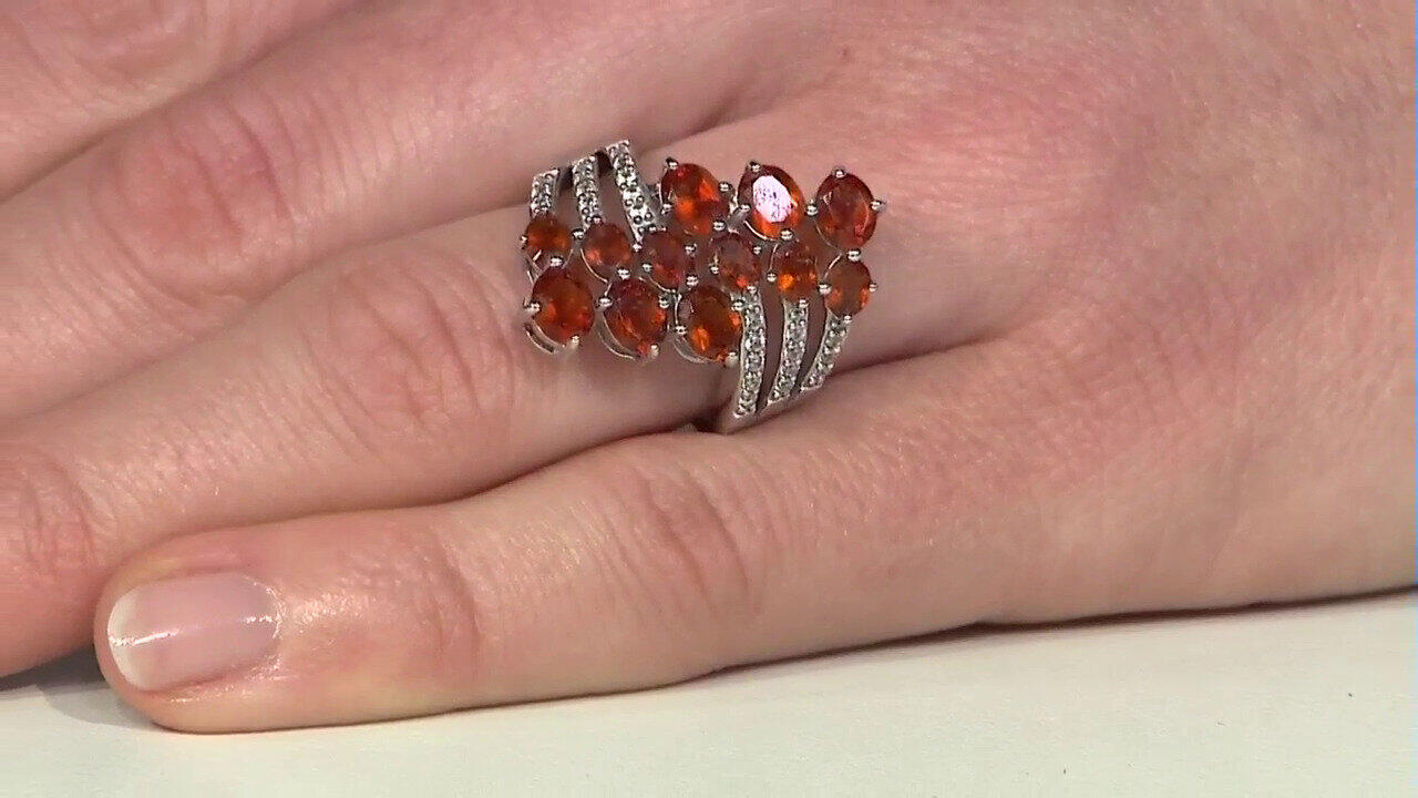 Letzte TV-Show ansehen