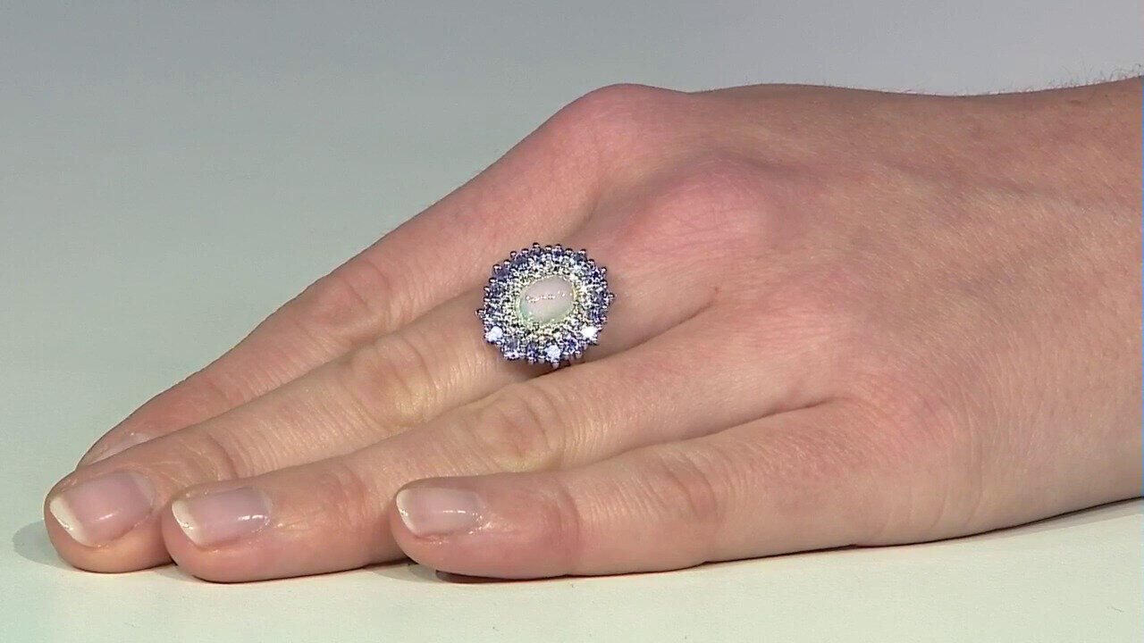 Letzte TV-Show ansehen