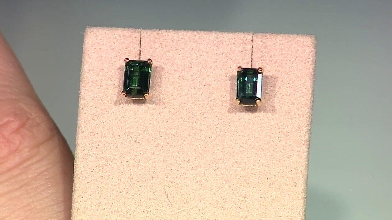 Voir l’enchère du bijou