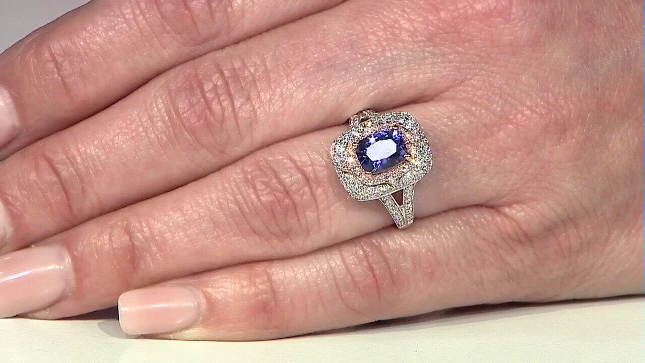 Letzte TV-Show ansehen