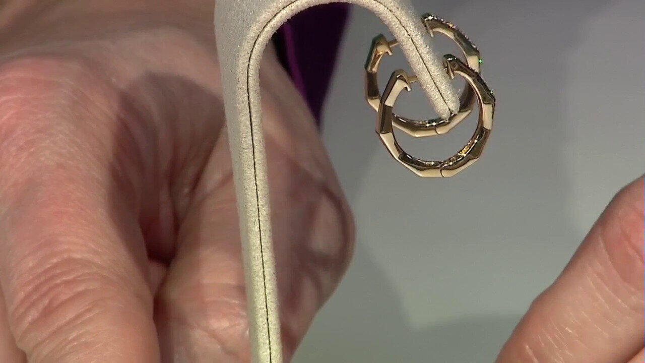 Letzte TV-Show ansehen