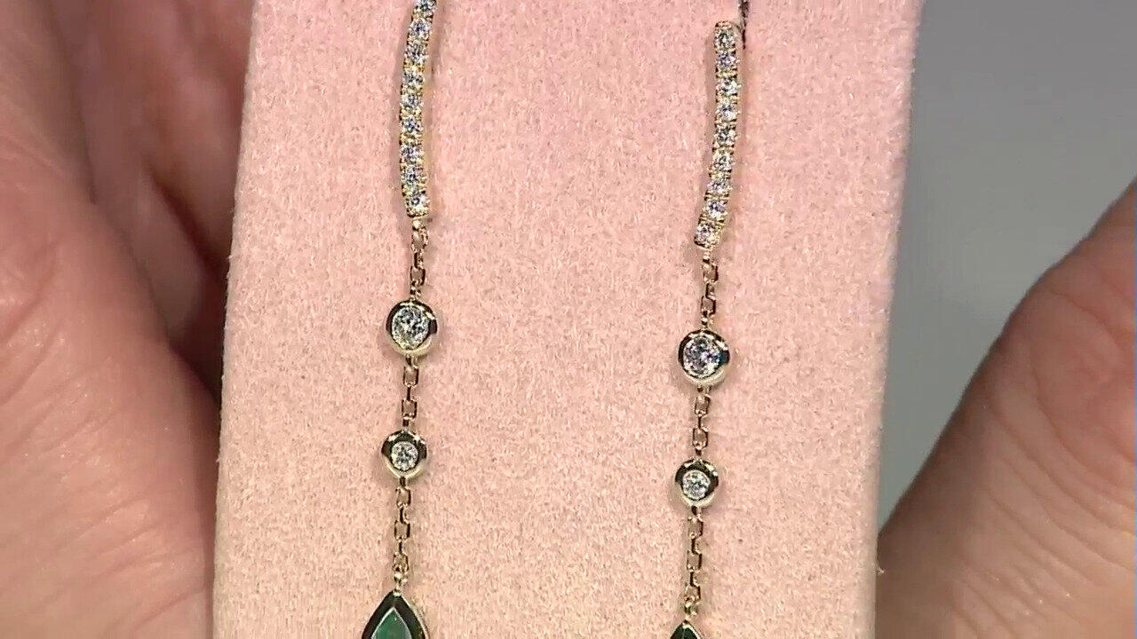 Letzte TV-Show ansehen