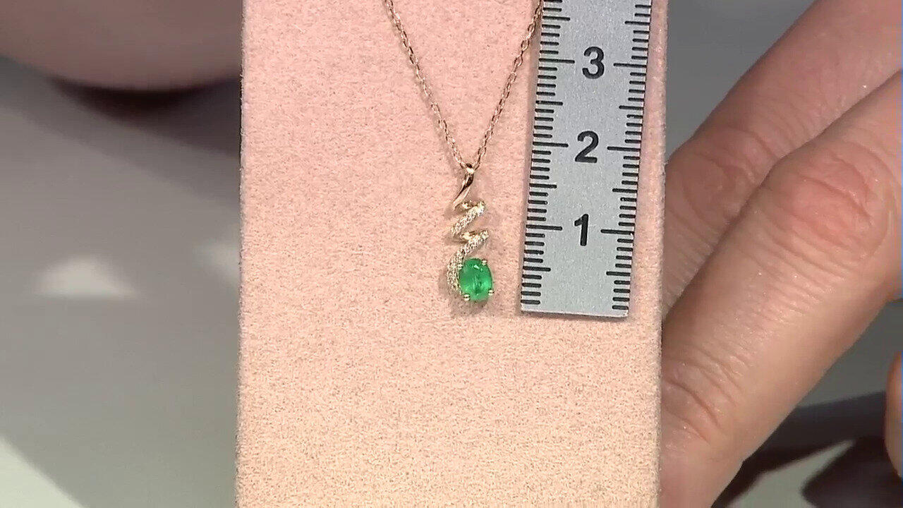 Letzte TV-Show ansehen