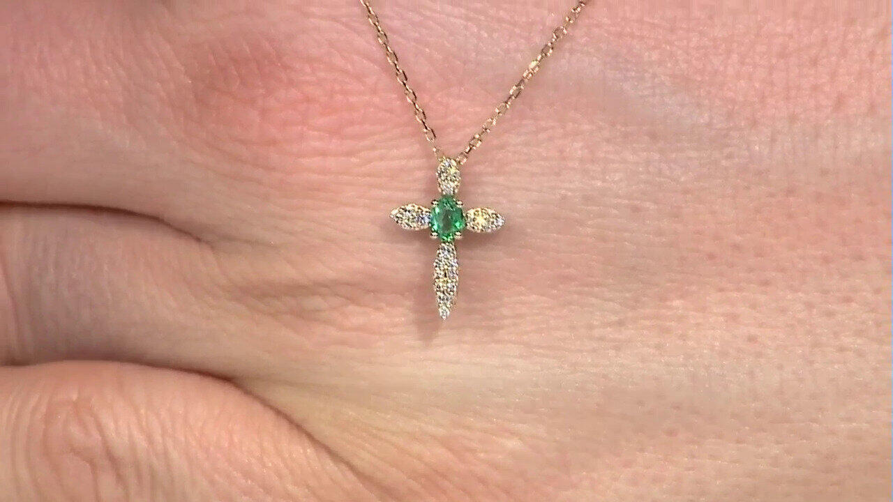 Letzte TV-Show ansehen