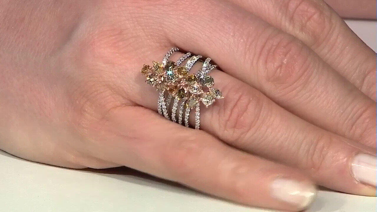 Letzte TV-Show ansehen