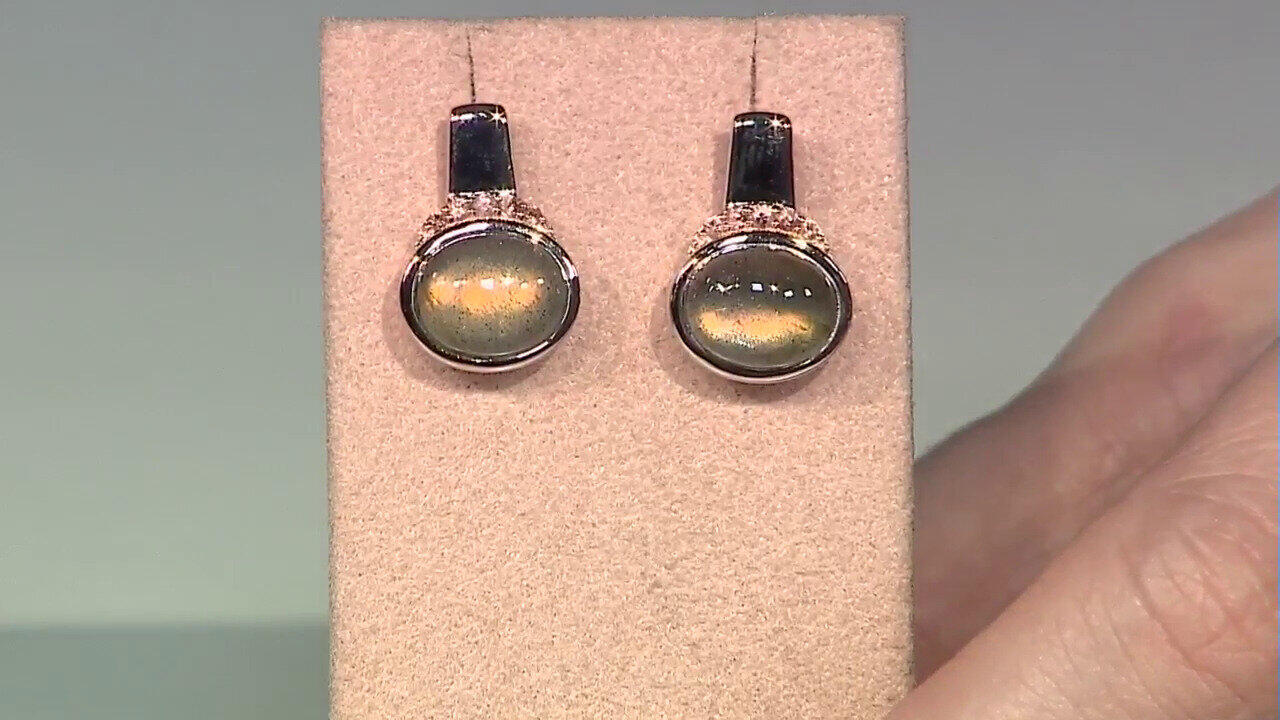 Letzte TV-Show ansehen