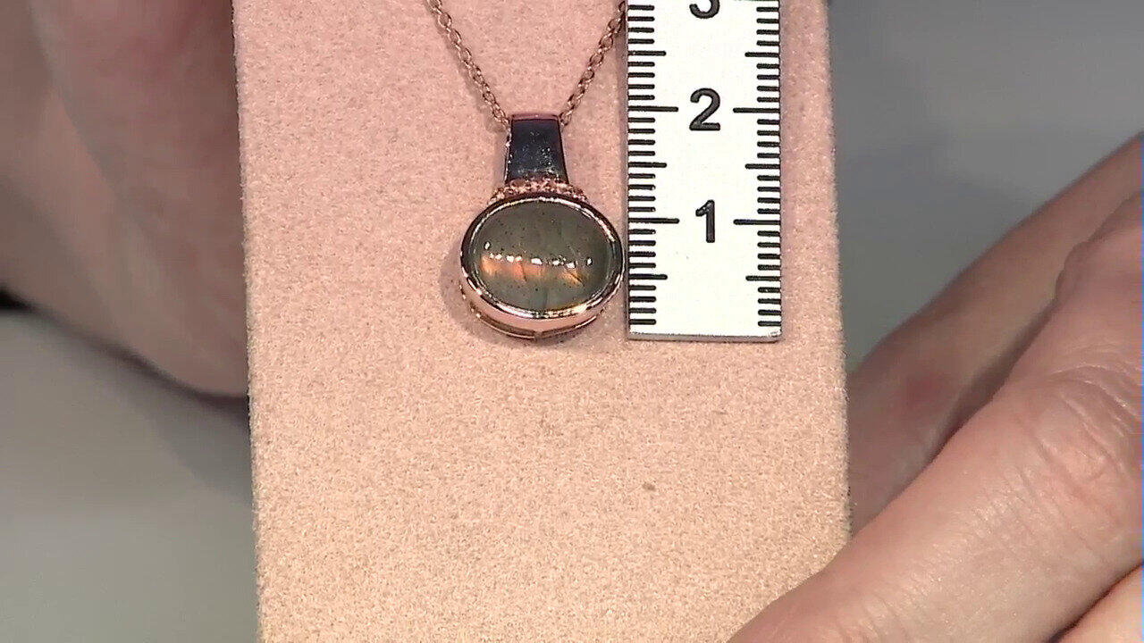 Letzte TV-Show ansehen