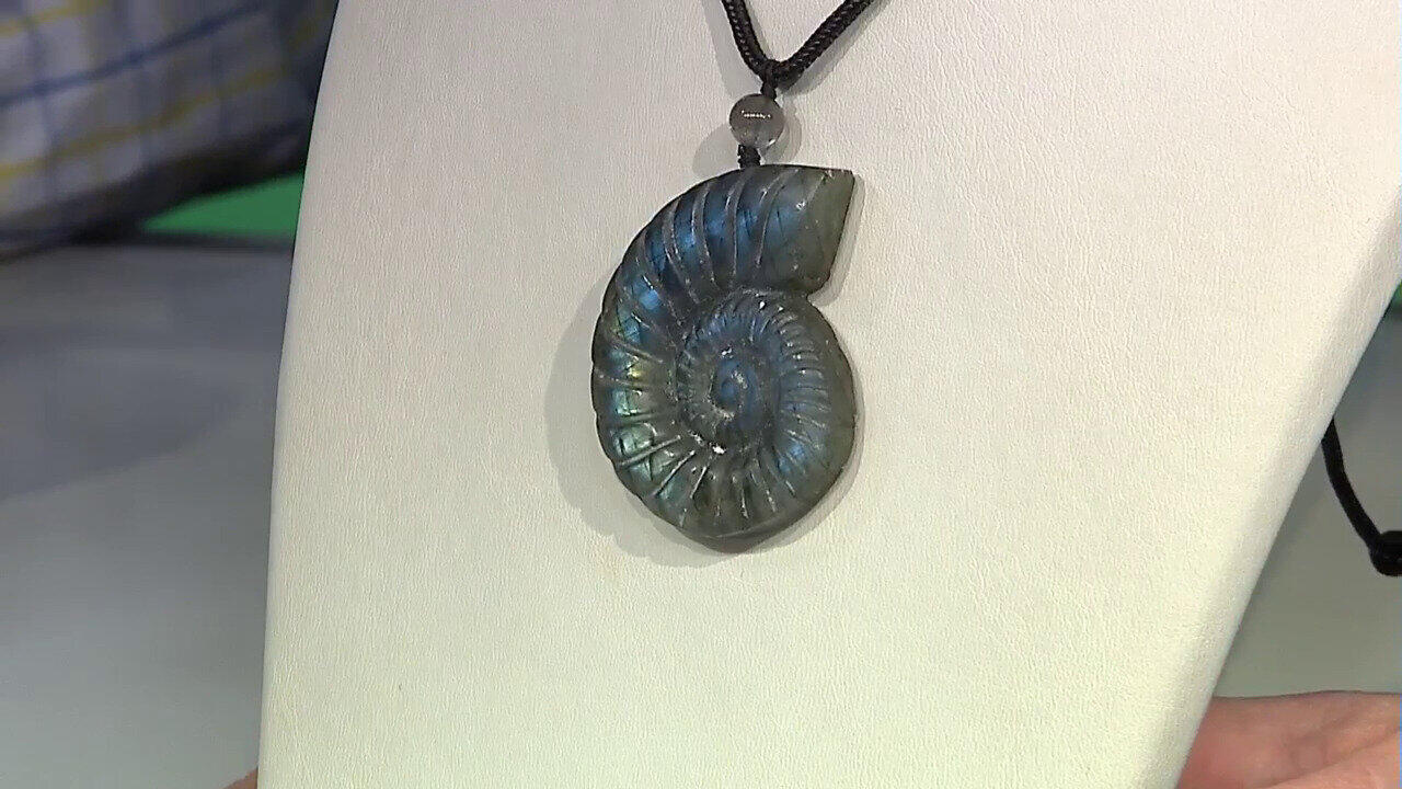 Ver última TV oferta