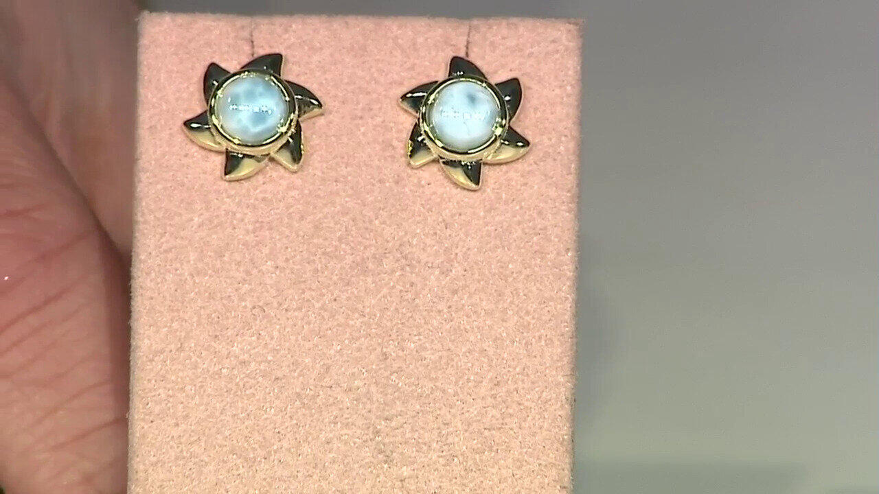 Ver última TV oferta