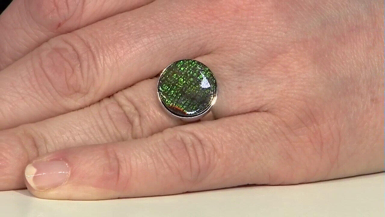 Letzte TV-Show ansehen