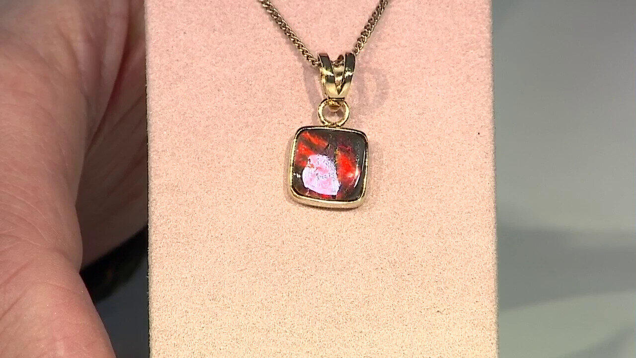 Letzte TV-Show ansehen