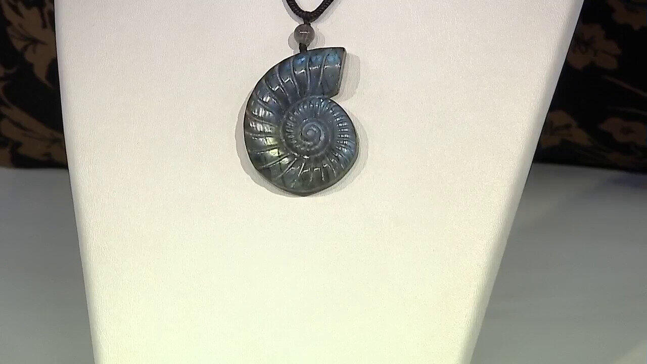 Ver última TV oferta