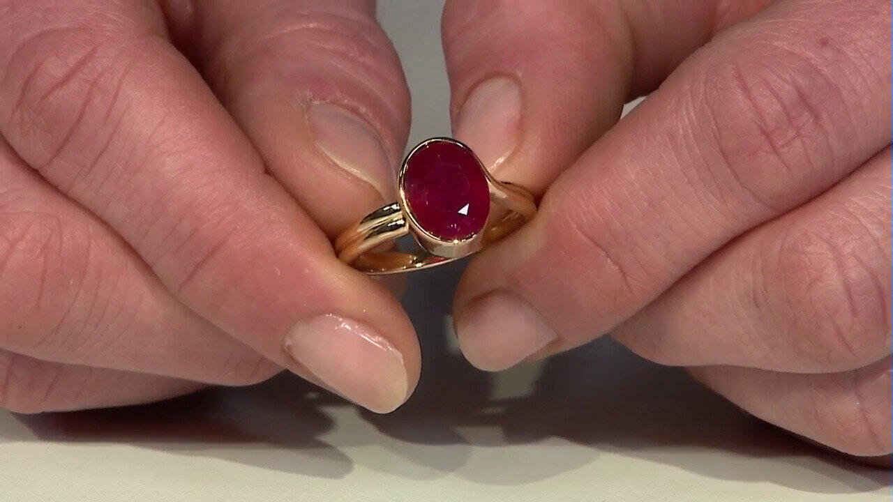 Letzte TV-Show ansehen