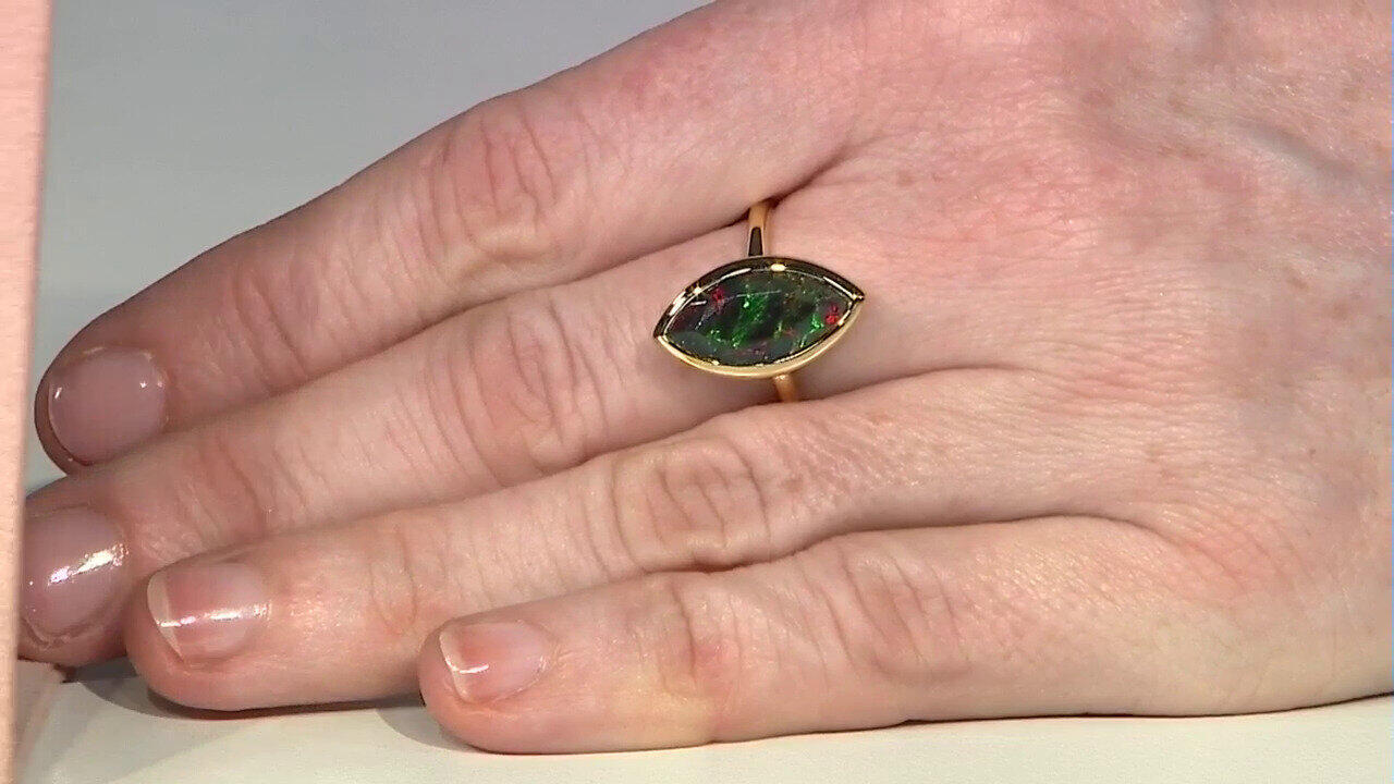 Letzte TV-Show ansehen