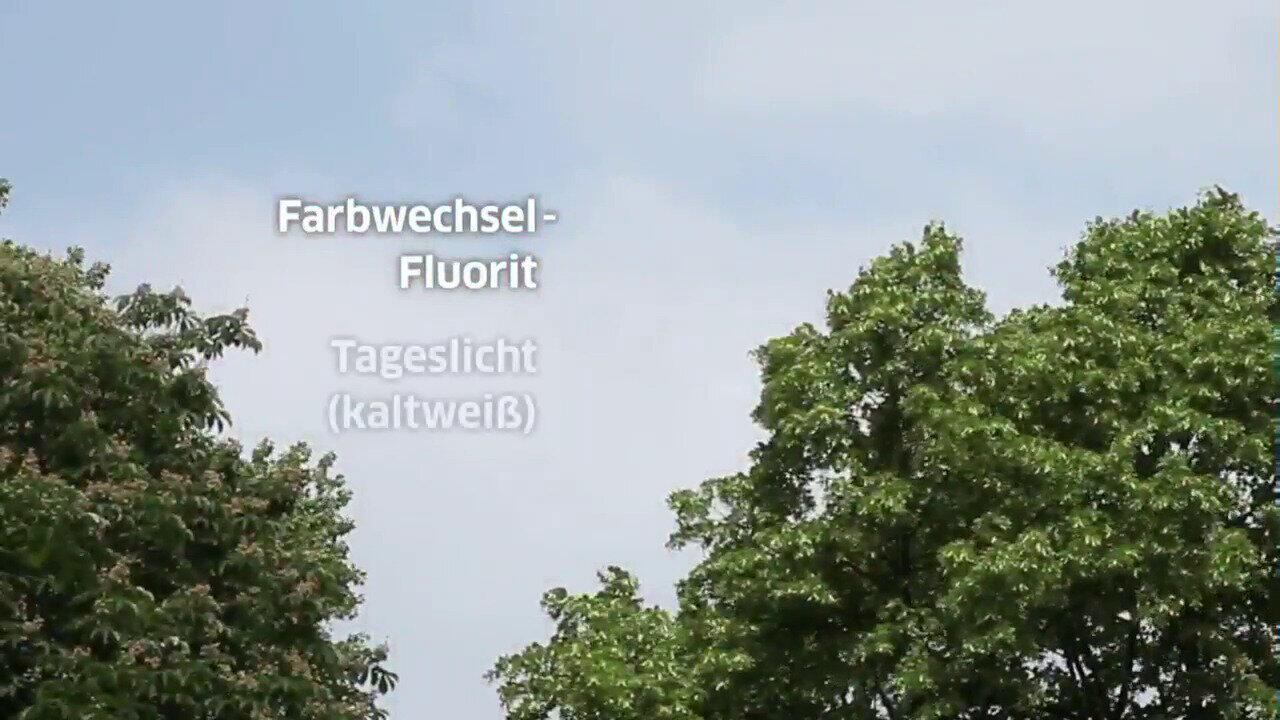 Laatste live aanbiedingen bekijken