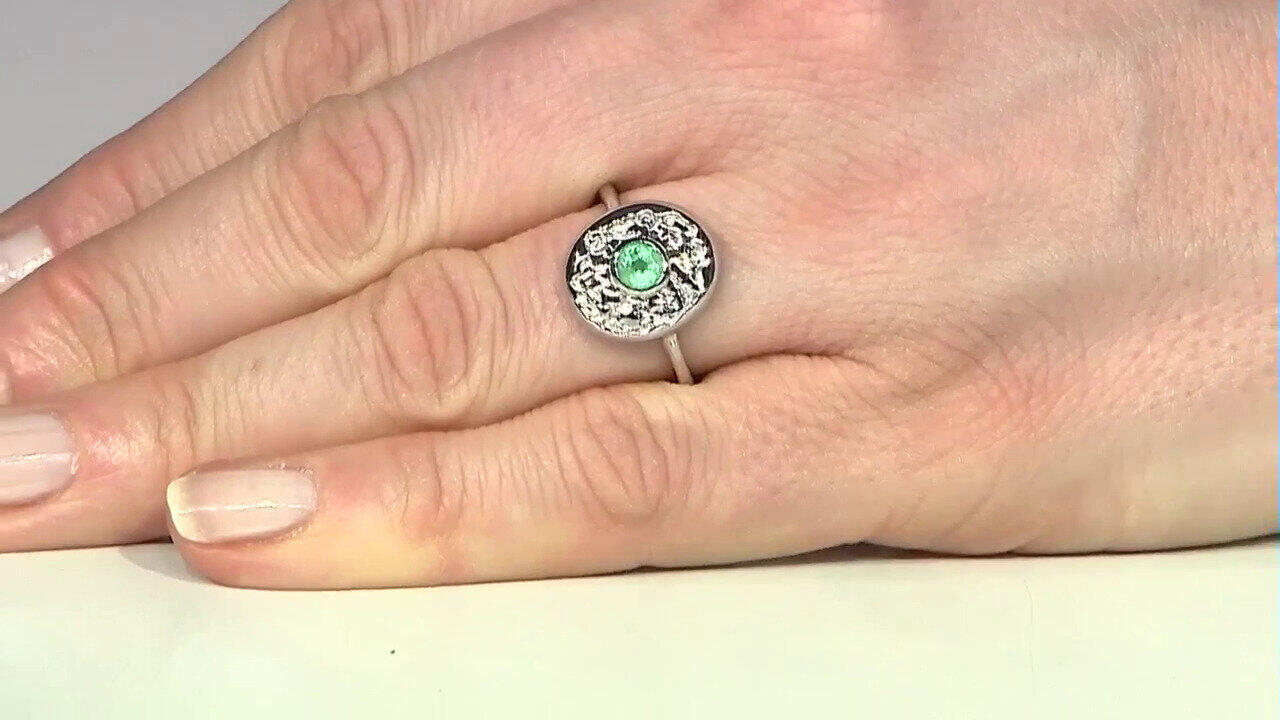 Letzte TV-Show ansehen