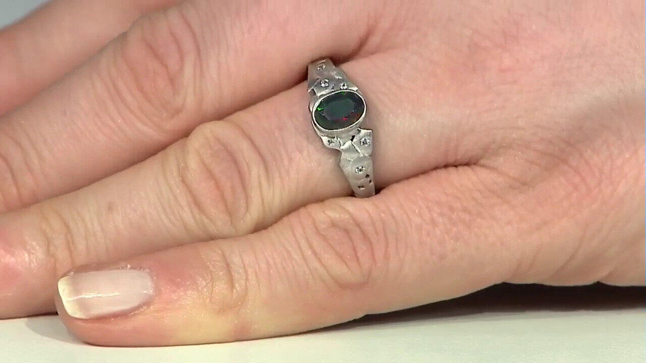 Letzte TV-Show ansehen