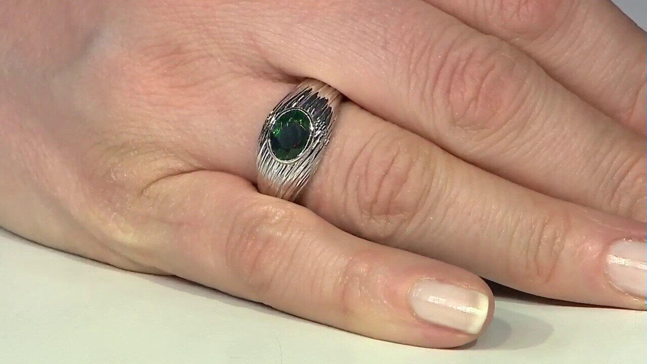 Letzte TV-Show ansehen