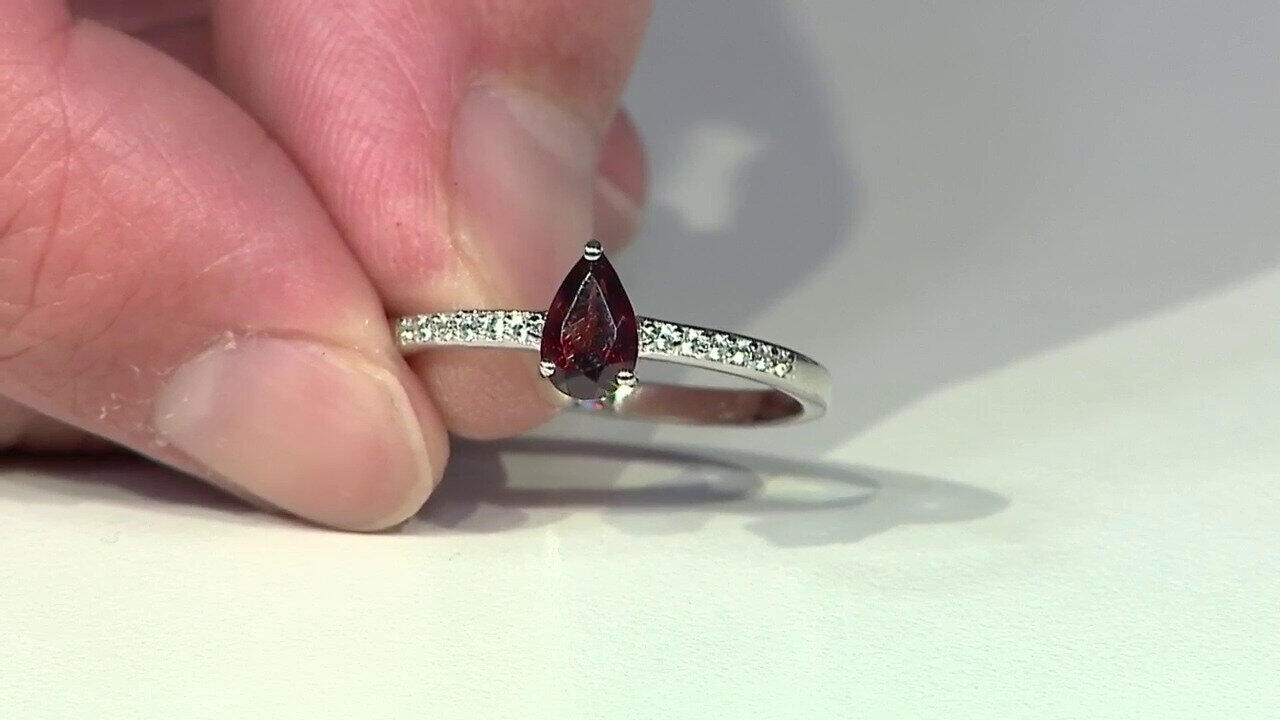 Laatste live aanbiedingen bekijken