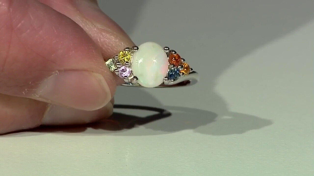 Letzte TV-Show ansehen