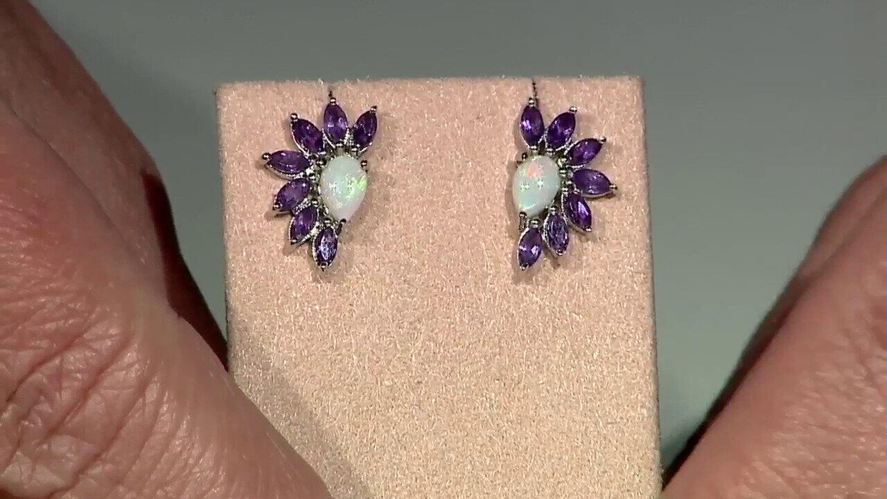 Letzte TV-Show ansehen