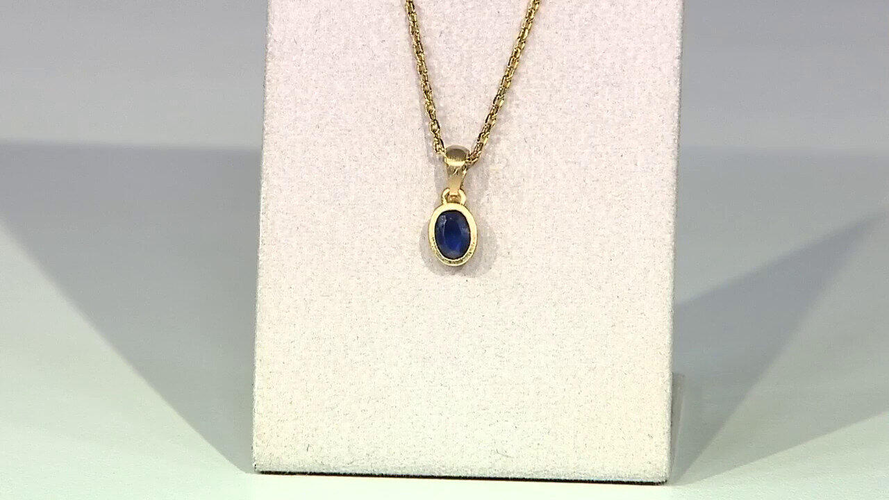 Letzte TV-Show ansehen