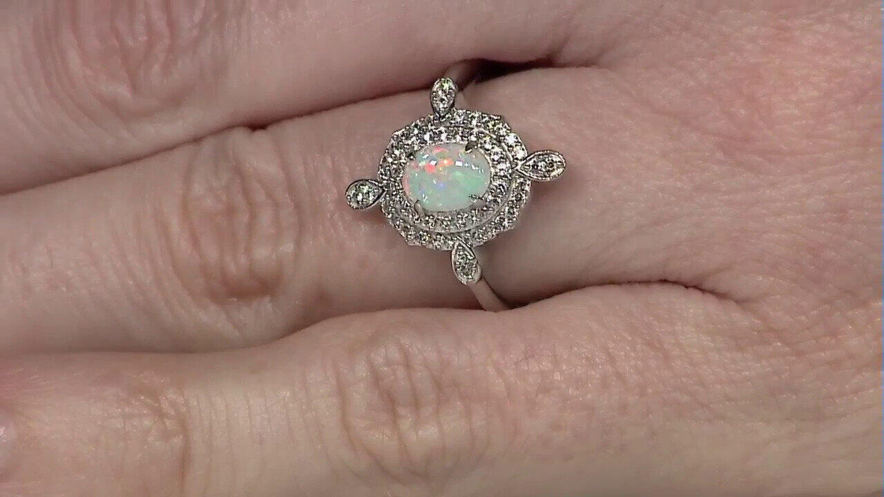 Letzte TV-Show ansehen