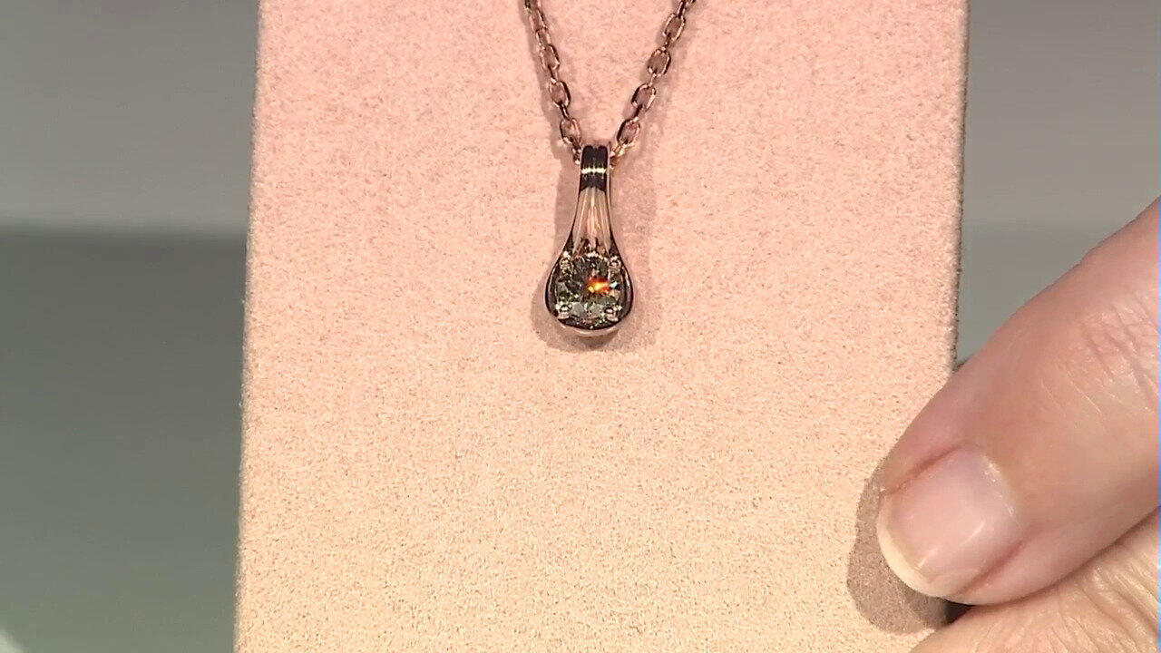 Letzte TV-Show ansehen