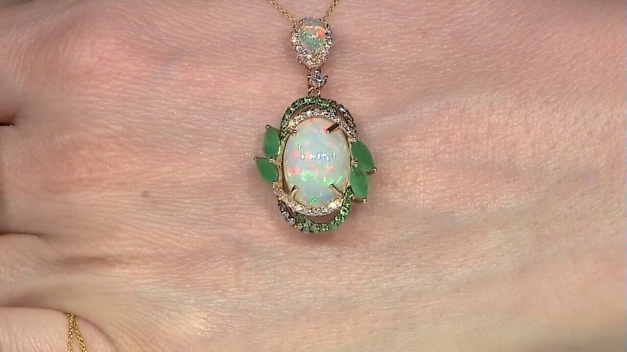 Laatste live aanbiedingen bekijken