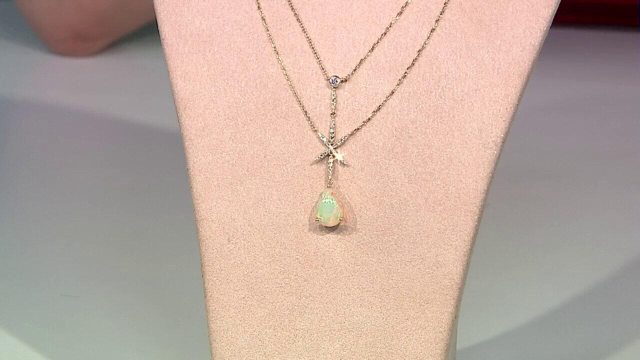 Laatste live aanbiedingen bekijken