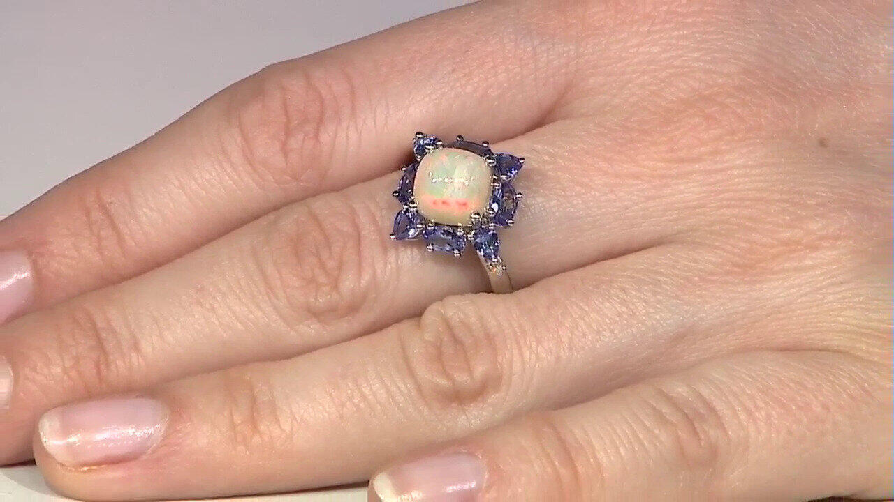 Laatste live aanbiedingen bekijken