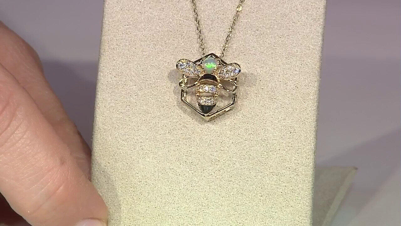 Letzte TV-Show ansehen