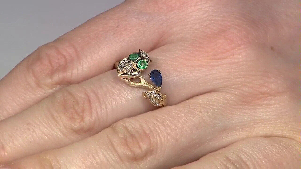 Letzte TV-Show ansehen