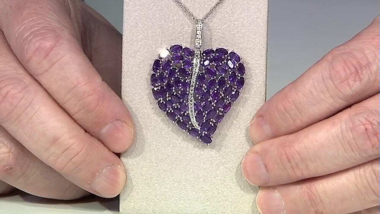 Letzte TV-Show ansehen